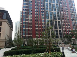 绿地启航社38466 鸿鑫祥瑞装饰与鑫锦瑞的品质共建